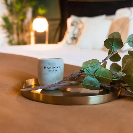 Old Town With Amazing View From The Balcony * Bukareszt